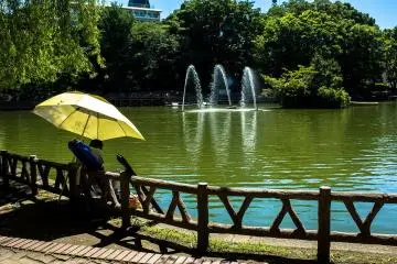 The pond really is a lovely place (Photo: <a href="https://www.flickr.com/photos/8305862@N07/26783245015/in/photolist-dArxcr-aRhYuz-r8QgoT-ds3cde-dYFxFT-aJYZfK-aSdmjK-oga14J-7mhsjV-GNK8Ct-qRpo7v-MdtXK-kFHsz-GaojMH-F93eA6-FnhqHS-GhJbw6-2gcisVb-2gbZQGC-2g7VGco" target="_blank" rel="noreferrer noopener nofollow">Takayuki Miki</a> / <a href="https://creativecommons.org/licenses/by-nd/2.0/" target="_blank" rel="noreferrer noopener nofollow">CC BY-ND 2.0</a>)