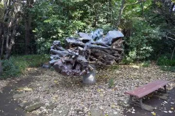 Tree root monument of Mejiro no Mori (Photo: <a href="https://commons.wikimedia.org/wiki/File:Sculpture_in_Mejiro-no-Mori_2016_11_30.jpg" target="_blank" rel="noreferrer noopener nofollow">The Nature Box / CC BY 4.0</a>)