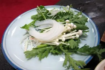 Impressions of Japanese Food