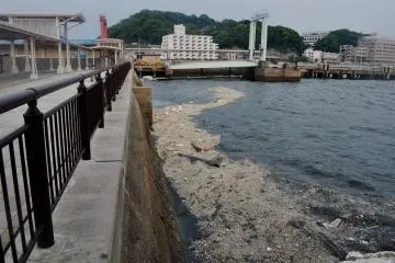 The water in this area is quite dirty, as this picture shows. (Photo: Virginia González)