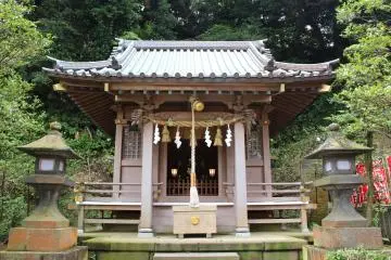 Gallery image
