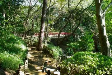 Tamagawadai Park (Photo: <a href="https://commons.wikimedia.org/wiki/File:%E5%A4%9A%E6%91%A9%E5%B7%9D%E5%8F%B0%E5%85%AC%E5%9C%92_-_panoramio_(17).jpg" target="_blank" rel="noreferrer noopener nofollow">珈琲牛乳 / CC BY 3.0</a>)
