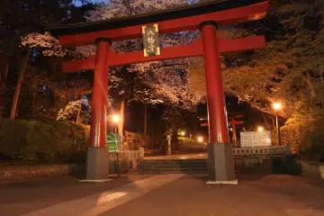 Torii gate to Omiya Hachimangu Shrine (Photo: <a href="https://commons.wikimedia.org/wiki/File:%E5%A4%A7%E5%AE%AE%E5%85%AB%E5%B9%A1%E5%AE%AE_-_panoramio.jpg" target="_blank" rel="noreferrer noopener nofollow">くろふね / CC BY 3.0</a>)