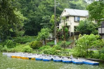 The boats of Zenpukuji Park (Photo: <a href="https://commons.wikimedia.org/wiki/File:Zenpukuji_Park_-_Suginami,_Tokyo_-_DSC01743.JPG" target="_blank" rel="noreferrer noopener nofollow">Daderot / CC0 1.0</a>)