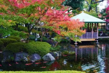Photo: <a href="https://commons.wikimedia.org/wiki/File:Otaguro_garden_in_autumn_2014_%E2%85%B7.JPG" target="_blank" rel="noreferrer noopener nofollow">Kakidai / CC BY-SA 4.0</a>