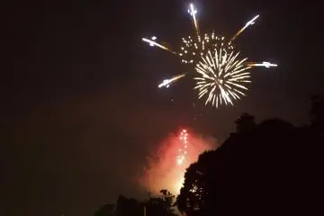 Some shapes of the fireworks seemed to represent tropical flowers (Photo: <a href="https://www.flickr.com/photos/gethiroshima/9520366840/in/album-72157635083969911/" target="_blank" rel="noreferrer noopener nofollow">GetHiroshima.com</a> / <a href="https://creativecommons.org/licenses/by-nc/2.0/" target="_blank" rel="noreferrer noopener nofollow">CC BY-NC 2.0</a>)