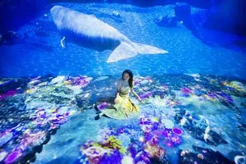 Ocean by Naked 2019-2020
