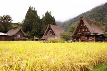 World-class Road Trip Between Tokyo & Osaka