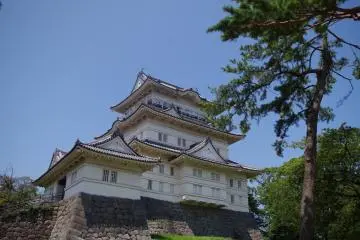 Gallery image