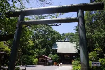 Gallery image
