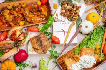 A Vegan Catering Service "MODOKI" 
