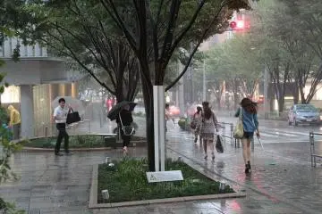Typhoon hits Roppongi (Photo: <a href="https://commons.wikimedia.org/wiki/File:Passing_Typhoon_Roke_in_Tokyo_II.jpg" target="_blank" rel="noreferrer noopener nofollow">OiMax</a> / <a href="https://creativecommons.org/licenses/by/2.0/" target="_blank" rel="noreferrer noopener nofollow">CC BY 2.0</a>)