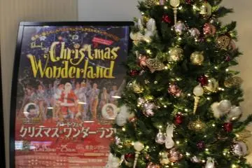 Broadway Christmas Wonderland 2026