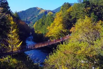 Akigawa Valley, Akiruno City (Photo: <a href="https://ja.wikipedia.org/wiki/%E3%83%95%E3%82%A1%E3%82%A4%E3%83%AB:Akigawa_River_in_the_autumn.jpg" target="_blank" rel="noreferrer noopener nofollow">Hiroaki Kaneko</a> / <a href="https://creativecommons.org/licenses/by-sa/2.0/" target="_blank" rel="noreferrer noopener nofollow">CC BY-SA 2.0</a>)