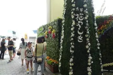 Gallery image