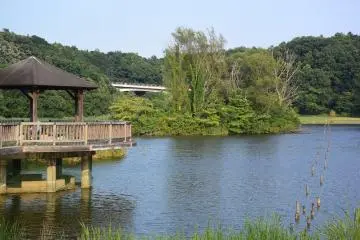 Forest and Park of the 21st Century (Photo: <a href="https://www.flickr.com/photos/oezguerc/20617868728/in/photolist-xpVY4j-joF6Tf-joBQg8-joDWvh-CD6NM3-wNTLVq-P7SEE-BoxecR-Bj1VUg-wx1uDN-3DojE-wx1wDu-e2o713-wPCbQD-cAX5QU-qSWEAf-cAYQoA-cAZk9b-e2o72C-cAZmyj-vSAZMh-cAZh8y-cAZiAU-vSBgsL-Bj26Te-cAZ7KC-e2o6XW-wPCgtr-vSKL9r-b5keW-vSKP9V-wNUdH7-wPCvpn-cAZ4Hu-wx965g-b5kf1-wNUgqb-vSBfvA-vSB9DA-bhvqo-wPCvCZ-wMiThm-wQ9bez-cAXMVw-wMiTtU-wMiTz5-cAYkM3-vSBg63-cAZaN9-AE1HsX" target="_blank" rel="noreferrer noopener nofollow">Özgür Cam</a> / <a href="https://creativecommons.org/licenses/by/2.0/" target="_blank" rel="noreferrer noopener nofollow">CC BY 2.0</a>)