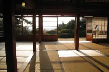 Matsudo City Guide