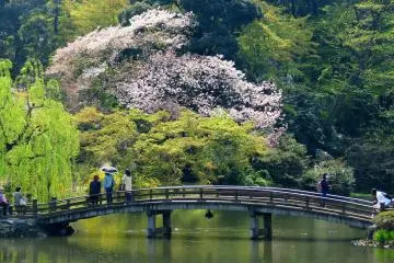 Shinjuku Gyoen National Garden (Photo: <a href="https://commons.wikimedia.org/wiki/File:Shinjuku_Gyoen_(16003390508).jpg" target="_blank" rel="noreferrer noopener nofollow">redlegsfan21</a> / <a href="https://creativecommons.org/licenses/by-sa/2.0/" target="_blank" rel="noreferrer noopener nofollow">CC BY-SA 2.0</a>)