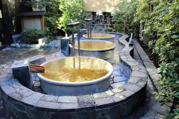 Saya-no-Yudokoro Spa 