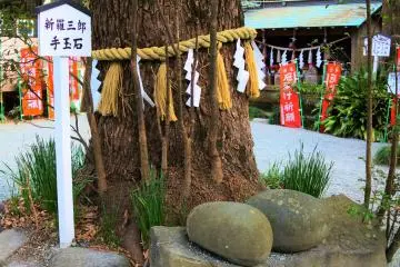 Shinrasaburo stones at the shrine (Photo: Yurika Taki)