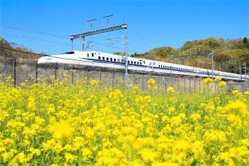 Shinkansen Travel Packages