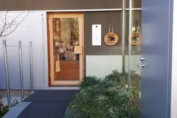 Gallery image