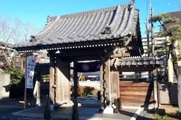 Gallery image