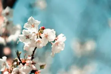 Photo: <a href="https://unsplash.com/photos/1H4Xv2kHAD8" target="_blank" rel="noreferrer noopener nofollow">ZHANG haonan </a>