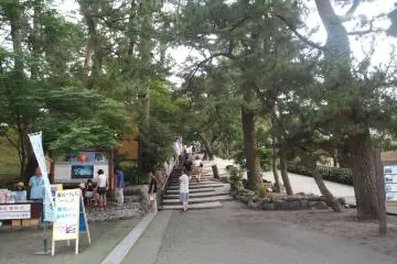 The pathway up to the Miho Pine Grove