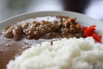 Yokosuka Curry Festival 2026