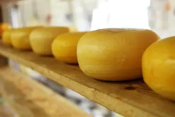 DiverCity Tokyo Plaza Cheese Festival 2020