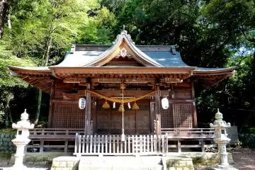 Gallery image