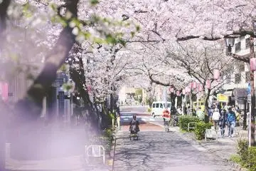Nishi-Koyama (Photo: <a href="https://shinagawa-kanko.or.jp/featured/sakuraohanamispot/" target="_blank" rel="noreferrer noopener nofollow">Shinagawa Tokyo</a>)