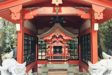 Gallery image