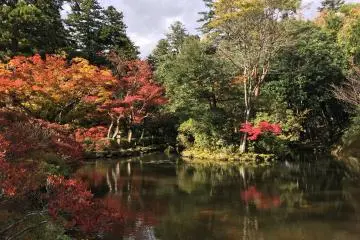 Autumn Leaves at Natadera Temple