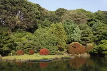 Koishikawa Botanical Garden (Photo: <a href="https://www.flickr.com/photos/inucara/24977755835/" target="_blank" rel="noreferrer noopener nofollow">Kentaro Ohno</a> / <a href="https://creativecommons.org/licenses/by/2.0/" target="_blank" rel="noreferrer noopener nofollow">CC BY 2.0</a>)