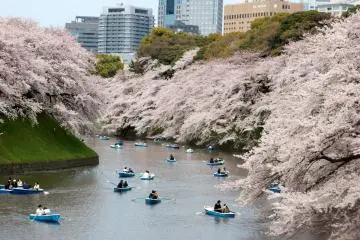 Photo: <a href="https://commons.wikimedia.org/wiki/File:Chidorigafuchi_(3451082281).jpg" target="_blank" rel="noreferrer noopener nofollow">KimonBerlin</a> / <a href="https://creativecommons.org/licenses/by-sa/2.0/" target="_blank" rel="noreferrer noopener nofollow">CC BY-SA 2.0</a>