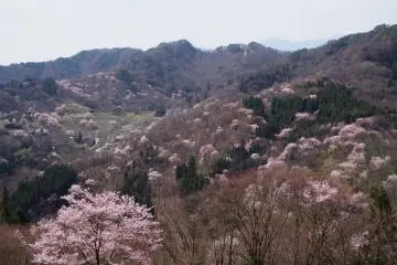 Osenkyo (Photo: Ikeda Town Tourism Association)