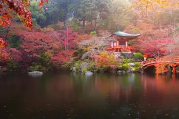 Autumn colours at the Benten Pond, Daigo-ji Temple (Photo: Freepik.com)