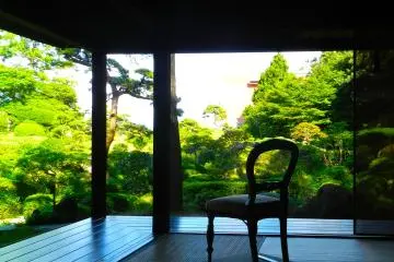 A room with a view.