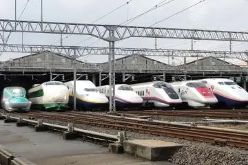 Speedy travel on the Japanese Shinkansen (Photo: <a href="https://commons.wikimedia.org/wiki/File:JR_East_Shinkansen_lineup_at_Niigata_Depot_201210.jpg#mw-jump-to-license" target="_blank" rel="noreferrer noopener nofollow">Rsa / CC BY-SA 3.0</a>)
