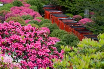Tokyo's Top 3 Travel Rankings