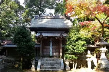 Gallery image