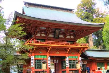 Gallery image