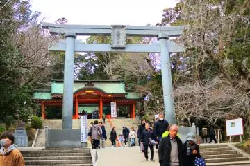 Gallery image