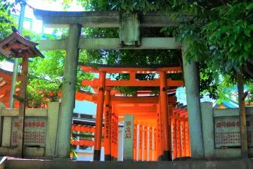 Gallery image