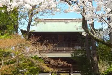 Kamakura Engaku-ji Temple in Spring