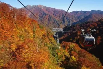 The dizzying heights of the ropeway offer some amazing views (Photo: <a href="https://commons.wikimedia.org/wiki/File:Tanigawadake_Ropeway.jpg" target="_blank" rel="noreferrer noopener nofollow">Qurren</a> / <a href="https://creativecommons.org/licenses/by-sa/3.0/deed.en" target="_blank" rel="noreferrer noopener nofollow">CC BY-SA 3.0</a>)