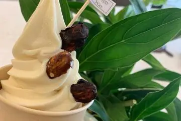 Vegan soft serve (Photo: Veggy Way)