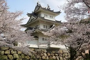 Tsu Castle Park in springtime (Photo: <a href="https://commons.wikimedia.org/wiki/File:140405_Tsu_Castle_Tsu_MIe_pref_Japan01s.jpg" target="_blank" rel="noreferrer noopener nofollow">663highland</a> / <a href="https://creativecommons.org/licenses/by-sa/3.0/deed.en" target="_blank" rel="noreferrer noopener nofollow">CC BY-SA 3.0</a>)